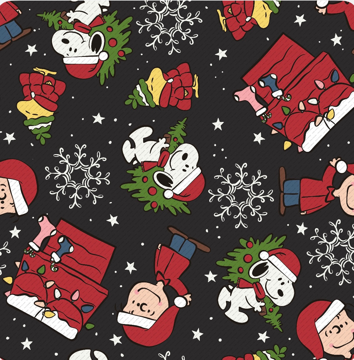 Snoopy Christmas: Accessories